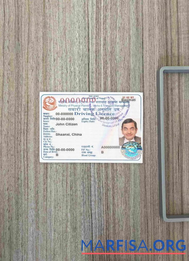 Realistic Nepal DL photolook real example